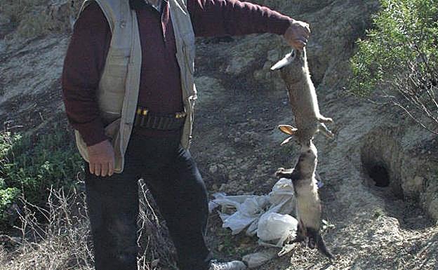 Un cazador muestra varias presas.