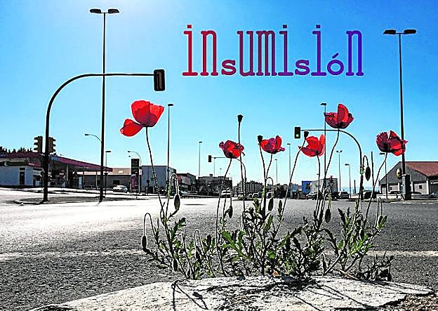 Fotografía: Pepe H. Tipografía: Nacho Rodríguez 