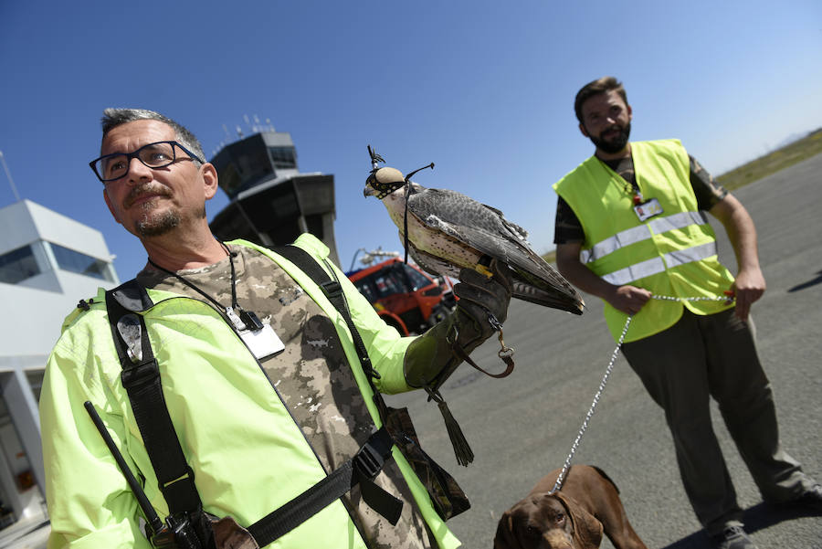 Fotos: Visita de los ganadores del concurso de &#039;La Verdad&#039; al aeropuerto internacional de la Región de Murcia