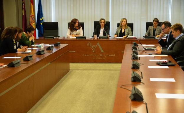 La Comisión de Pobreza y Exclusión Social reunida en la Asamblea Regional.