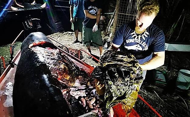 Un cúmulo de plásticos extraídos del interior de una ballena varada en Filipinas 