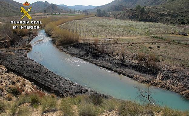 Masa forestal calcinada por el fuego.