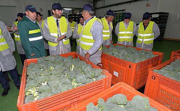 El presidente de la Región, Fernando López Miras, en su visita a la cooperativa lorquina Sacoje, en la Hoya.
