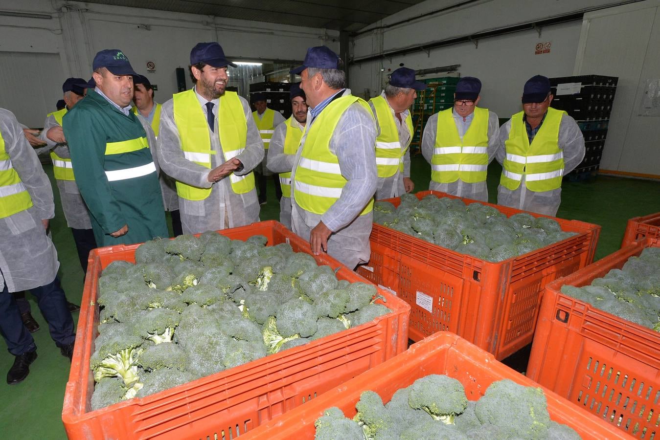 La firma lorquina explota más de 3.000 hectáreas de cultivo, de las que quinientas se dedican a productos ecológicos como brócoli, col picuda, coliflor y lechuga.