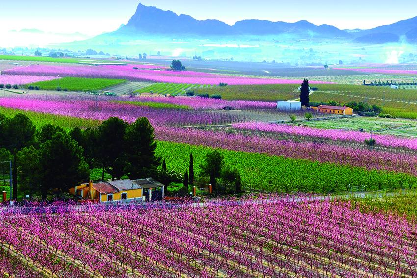 José Luis Montero, Paco Nadal y Joaquín Zamora retratan los mejores paisajes, monumentos y fiestas en el libro 'Sin prisas', editado por el Instituto de Turismo