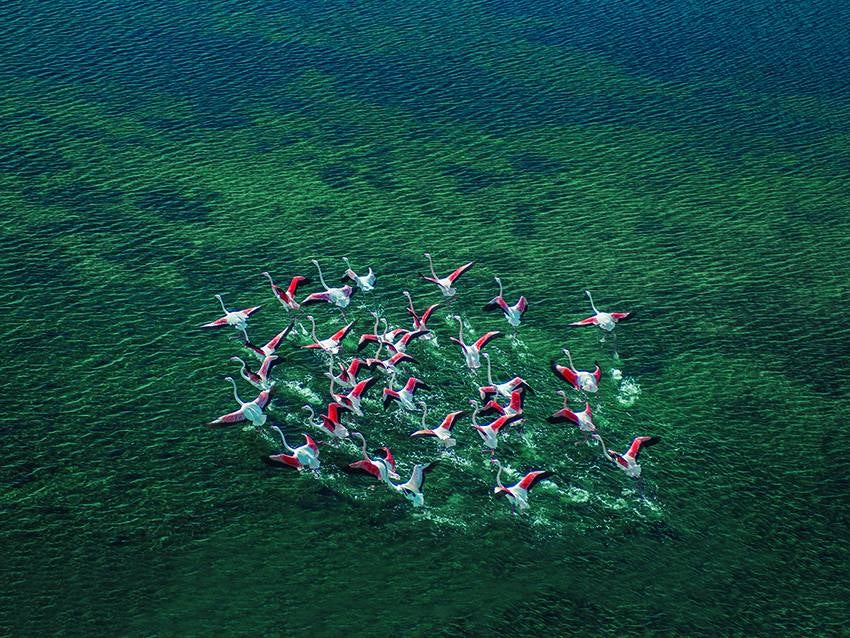 José Luis Montero, Paco Nadal y Joaquín Zamora retratan los mejores paisajes, monumentos y fiestas en el libro 'Sin prisas', editado por el Instituto de Turismo