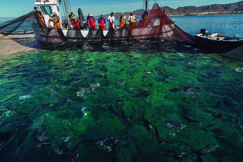 José Luis Montero, Paco Nadal y Joaquín Zamora retratan los mejores paisajes, monumentos y fiestas en el libro 'Sin prisas', editado por el Instituto de Turismo