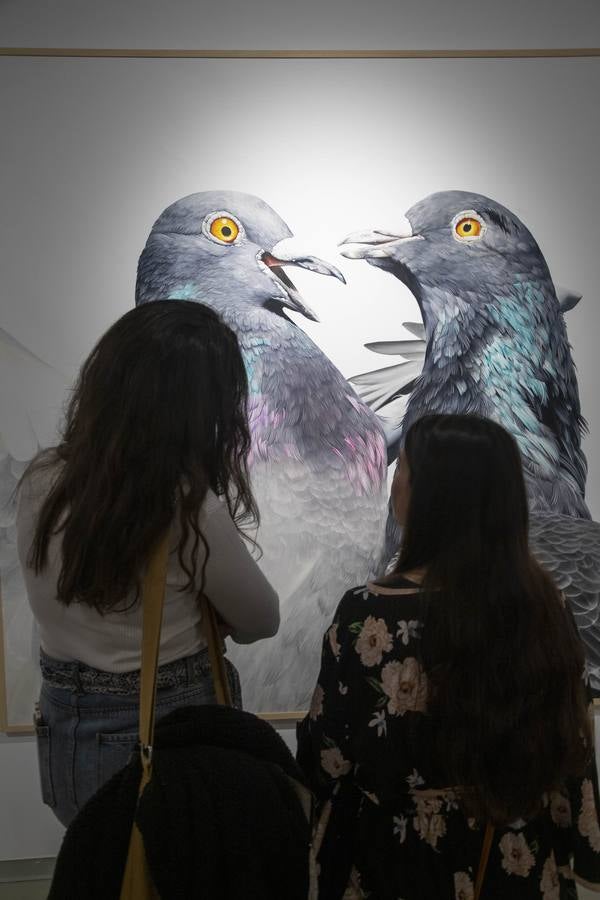 79 creadores de los cinco continentes muestran sus trabajos, hasta junio, en el Museo de Arte Moderno de Cartagena 