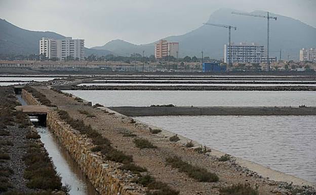 Salinas de Marchamalo.