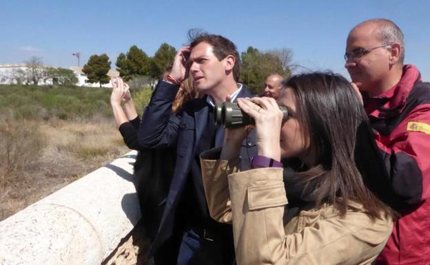 Ciudadanos se viste de verde