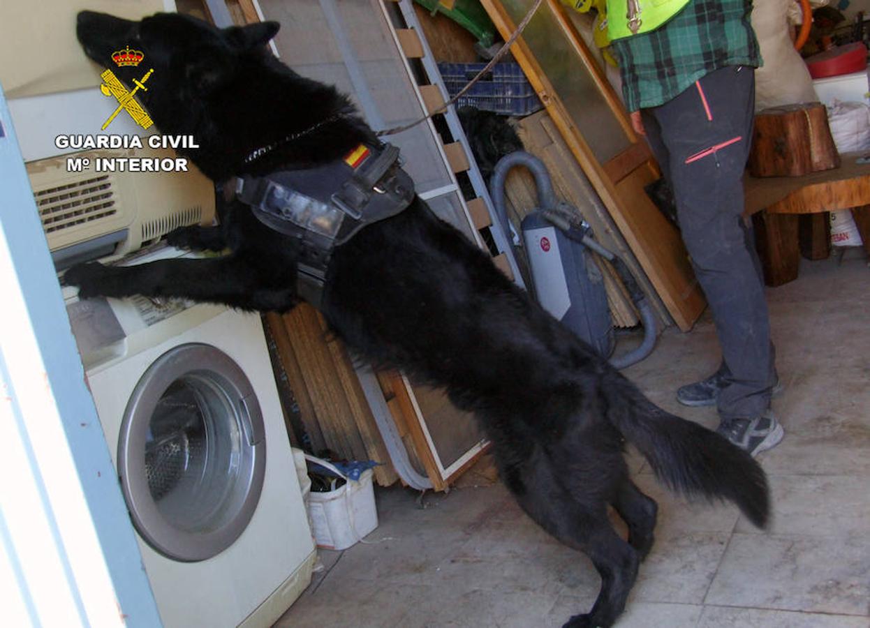 La Guardia Civil desmanteló un punto de tráfico de estupefacientes e incautó marihuana, cocaína, una pistola detonadora y dinero en efectivo, entre otros efectos