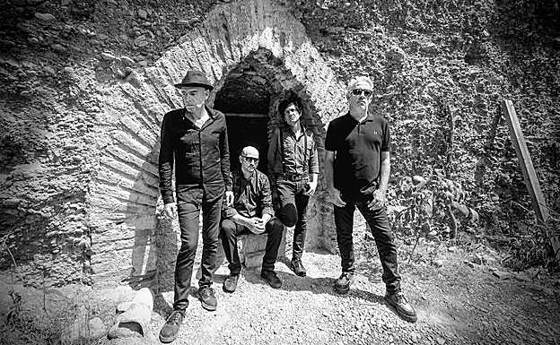 Componentes de Lagartija Nick.