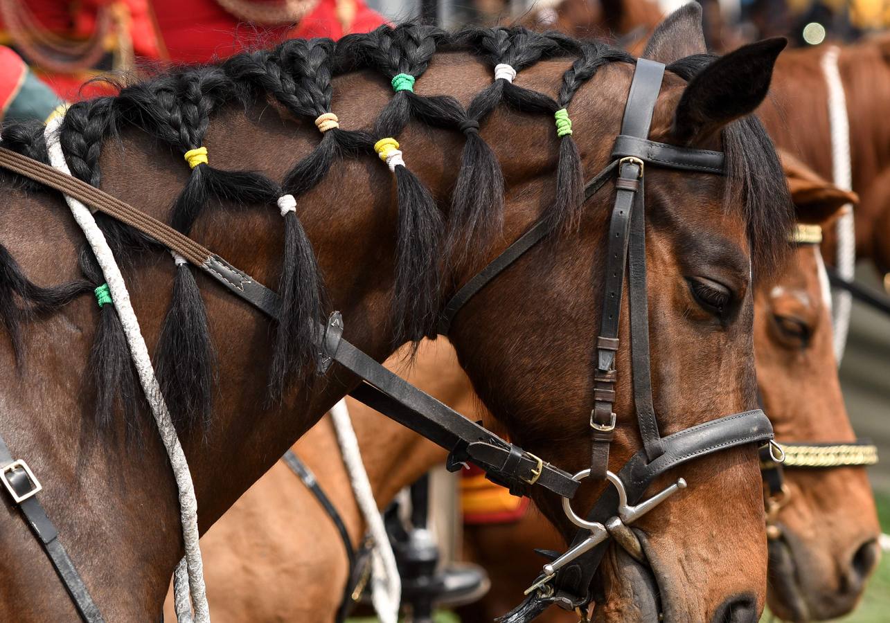 Celebración del tradicional festival hípico Ghode Jatra en Katmandú (Nepal). Este evento lo organiza el Ejército nepalés para alejar a los demonios. Miles de ciudadanos de todo el país asisten al festival.