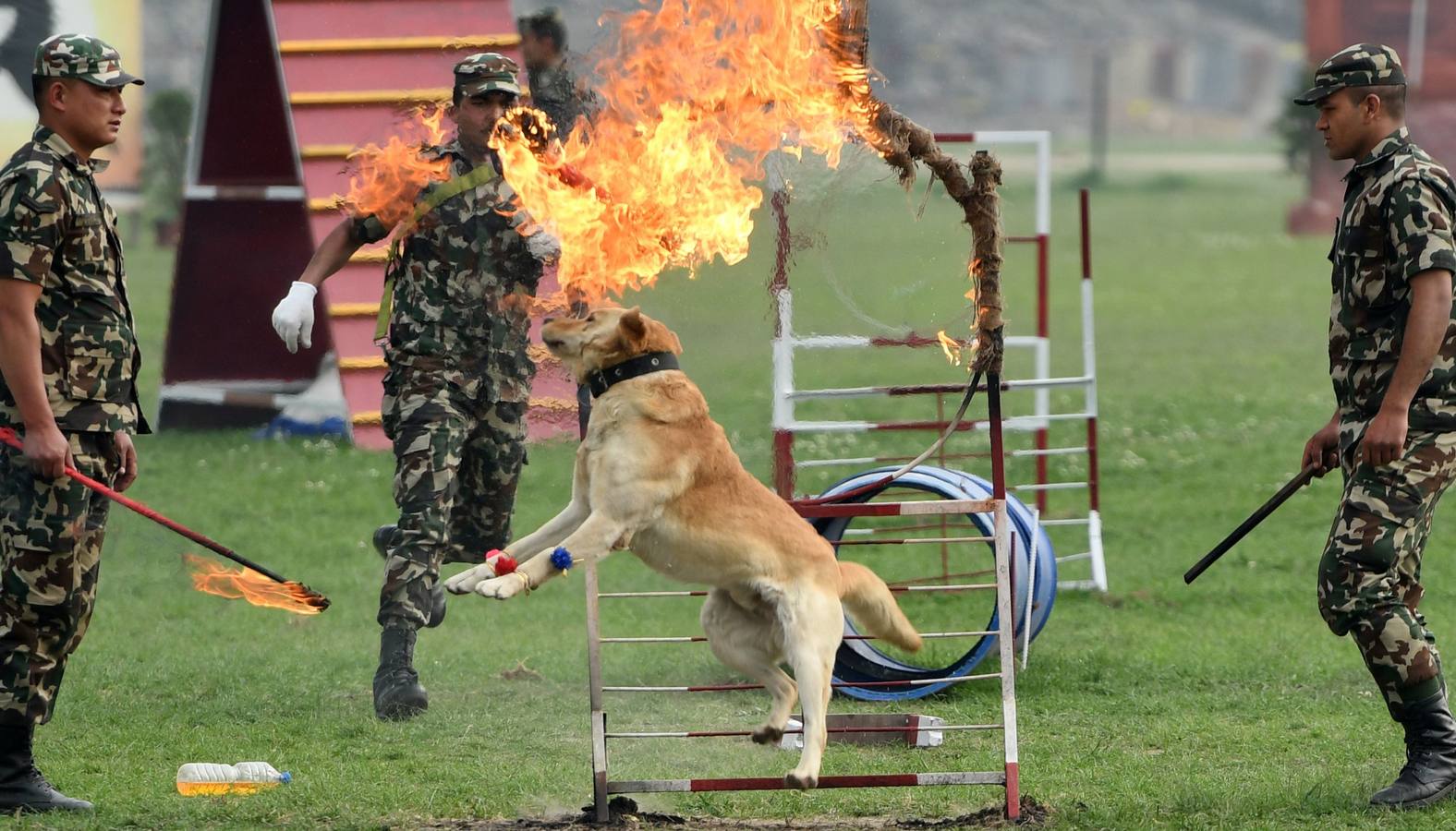 Celebración del tradicional festival hípico Ghode Jatra en Katmandú (Nepal). Este evento lo organiza el Ejército nepalés para alejar a los demonios. Miles de ciudadanos de todo el país asisten al festival.