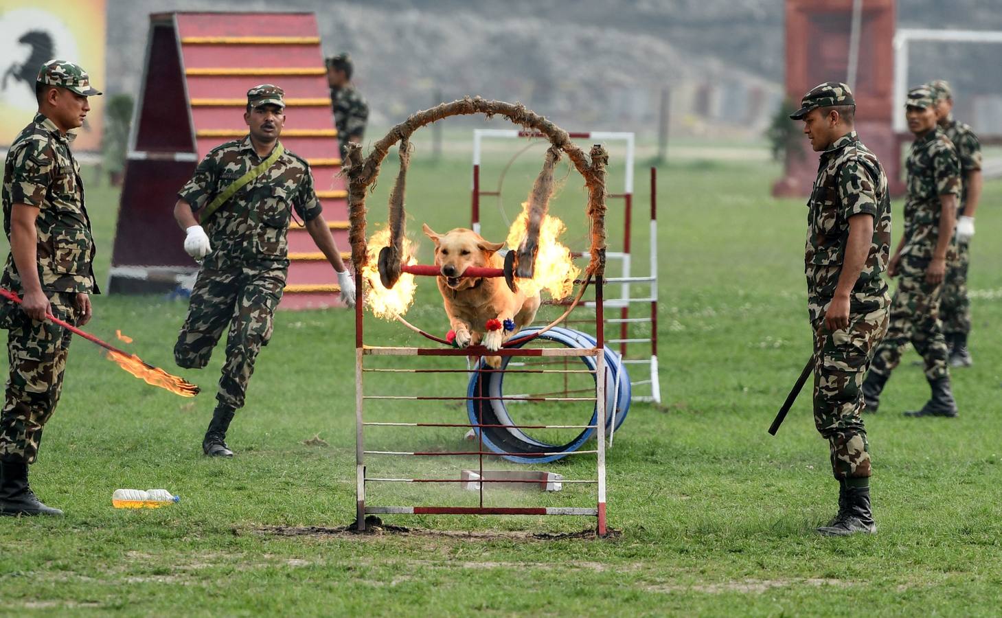 Celebración del tradicional festival hípico Ghode Jatra en Katmandú (Nepal). Este evento lo organiza el Ejército nepalés para alejar a los demonios. Miles de ciudadanos de todo el país asisten al festival.