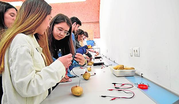 Un grupo de estudiantes realizan experimentos en el taller de baterías vegetales. 