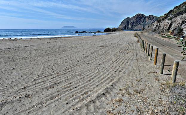 Playa de Siscal, en Puntas de Calnegre, esta semana. La vegetación fue arrasada a la izquierda de los bolardos. 