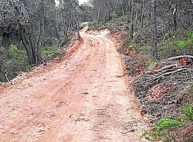 Estado del camino habilitado para llegar a La Almoloya. 