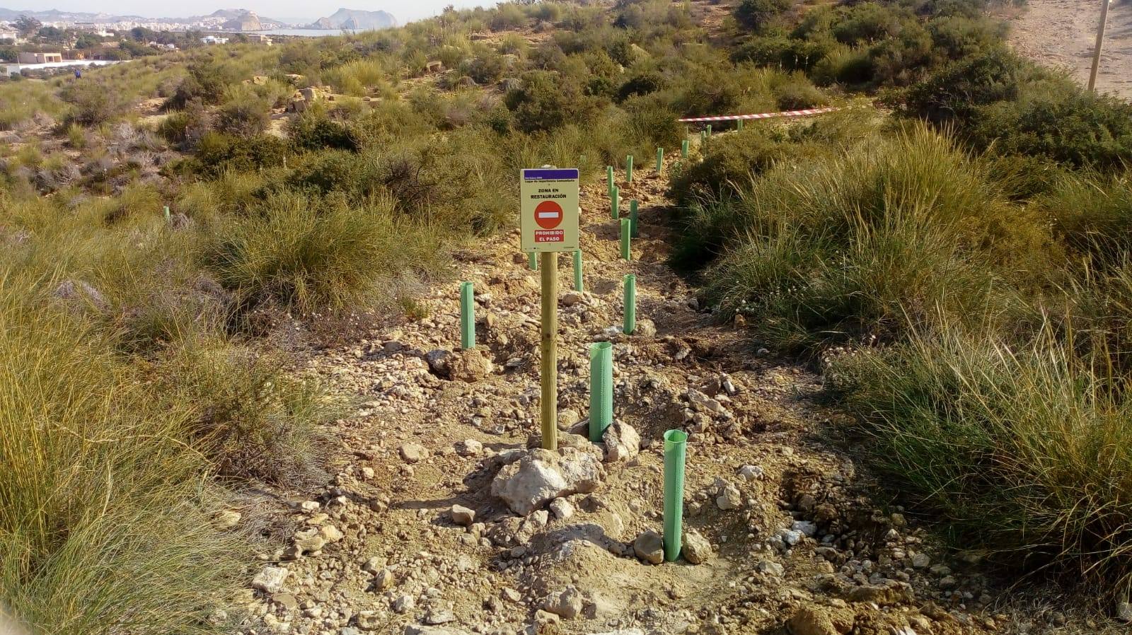 La Consejería y la Fundación Cajamurcia delimitan los caminos y plantan mil arbustos en el paisaje protegido aguileño