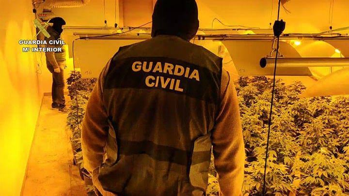 Detienen a once integrantes del grupo delictivo por delitos de tráfico de drogas, tenencia ilícita de armas y defraudación de fluido eléctrico, entre otros. Se incautaron 400 plantas, 100 kg de esta sustancia, 100 dosis de cocaína y 300 gramos de hachís