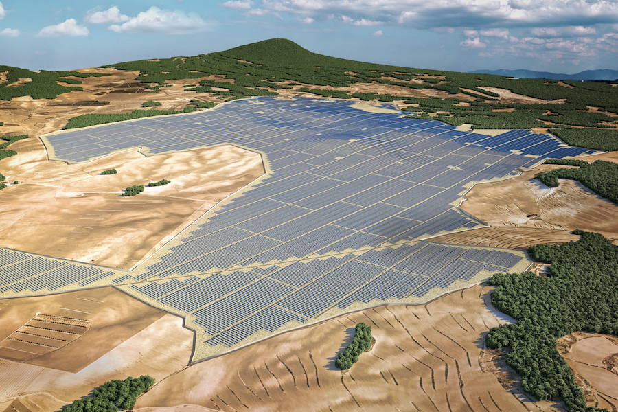 La planta fotovoltaica proyectada por X-Elio en esta pedanía de Lorca depende de la presencia de esta escasa ave esteparia