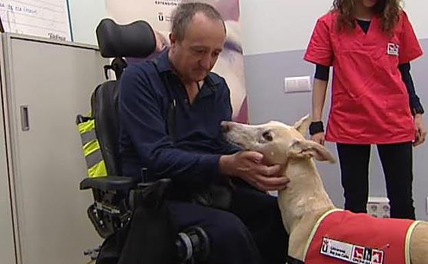 Terapeutas de cuatro patas contra la ELA