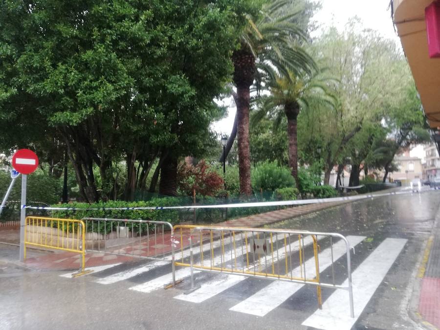 Según los datos actuales, hasta el momento, la media de lluvia registrada en el término municipal oscila entre los 80 y 100 litros por metro cuadrado