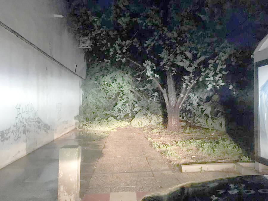 Según los datos actuales, hasta el momento, la media de lluvia registrada en el término municipal oscila entre los 80 y 100 litros por metro cuadrado