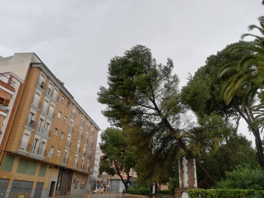 Según los datos actuales, hasta el momento, la media de lluvia registrada en el término municipal oscila entre los 80 y 100 litros por metro cuadrado