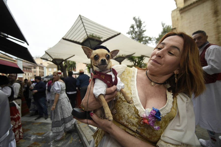 Miles de murcianos disfrutaron del día del Bando de la Huerta en las decenas de barracas huertanas instaladas en la ciudad para las fiestas de primavera