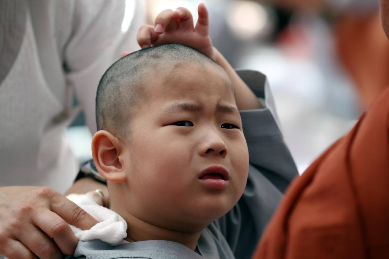 Varios niños reciben un drástico corte de pelo durante una ceremonia en la que menores surcoreanos se convierten en monjes budistas, en el templo Jogyesa de Seúl (Corea del Sur). Los monjes acogen a los niños en el templo durante 21 días para enseñarles los fundamentos de la religión budista.