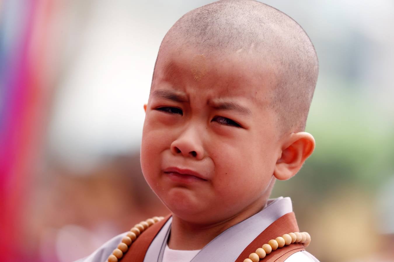 Varios niños reciben un drástico corte de pelo durante una ceremonia en la que menores surcoreanos se convierten en monjes budistas, en el templo Jogyesa de Seúl (Corea del Sur). Los monjes acogen a los niños en el templo durante 21 días para enseñarles los fundamentos de la religión budista.