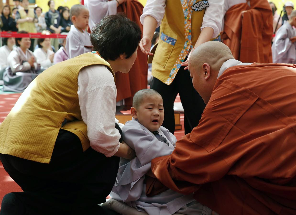 Varios niños reciben un drástico corte de pelo durante una ceremonia en la que menores surcoreanos se convierten en monjes budistas, en el templo Jogyesa de Seúl (Corea del Sur). Los monjes acogen a los niños en el templo durante 21 días para enseñarles los fundamentos de la religión budista.