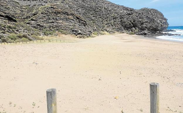 La playa de Calnegre, este jueves, desprovista de la vegetación plantada por Medio Ambiente.