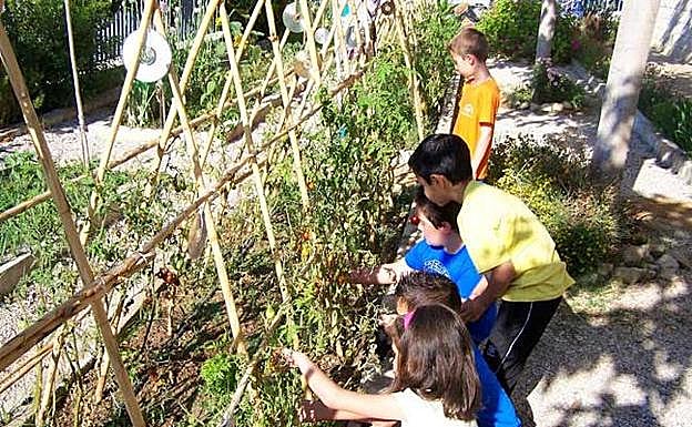 Fondos para el congreso escolar de agroecología