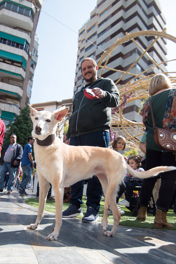 Las marchas del Primero de Mayo en Murcia y Cartagena piden al nuevo Gobierno que piense «primero en las personas» a la hora de elaborar sus políticas, al tiempo que exigen una aplicación efectiva del salario mínimo interprofesional