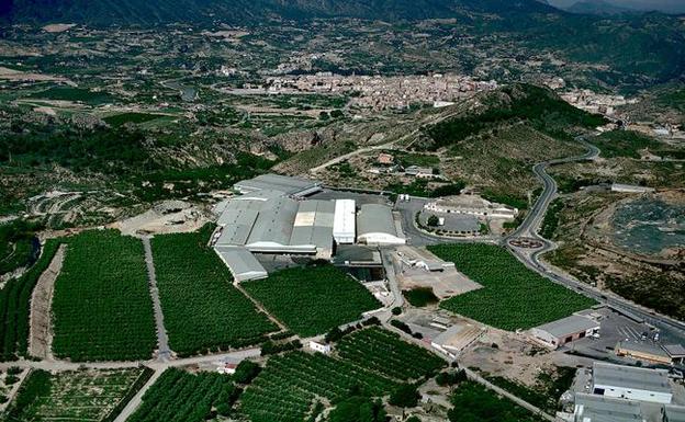 Vista aérea de las instalaciones de Frutas Esther en Abarán, donde tiene su cuartel general. 