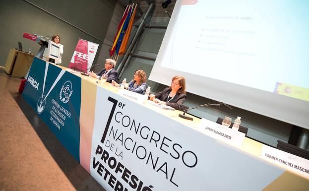 Inauguración del I Congreso Nacional de la Profesión Veterinaria.