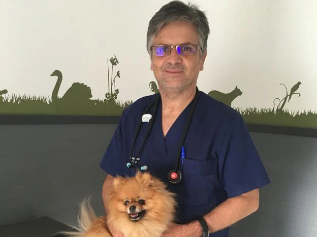 Alfredo Recio, con uno de los perros que atiende en su clínica. 