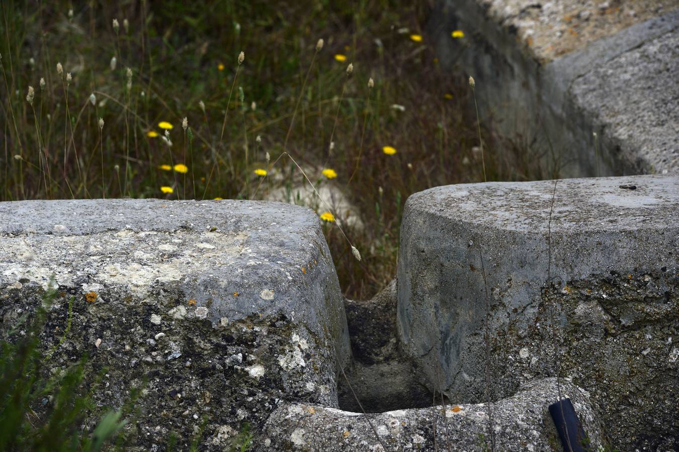 La aldea de Aledo sucumbe al paso del tiempo, devorada por el olvido y la vegetación.