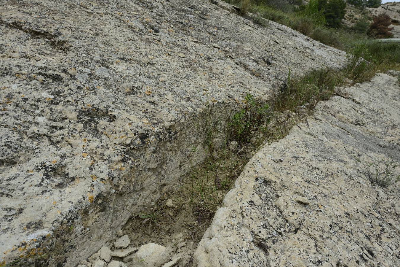 La aldea de Aledo sucumbe al paso del tiempo, devorada por el olvido y la vegetación.