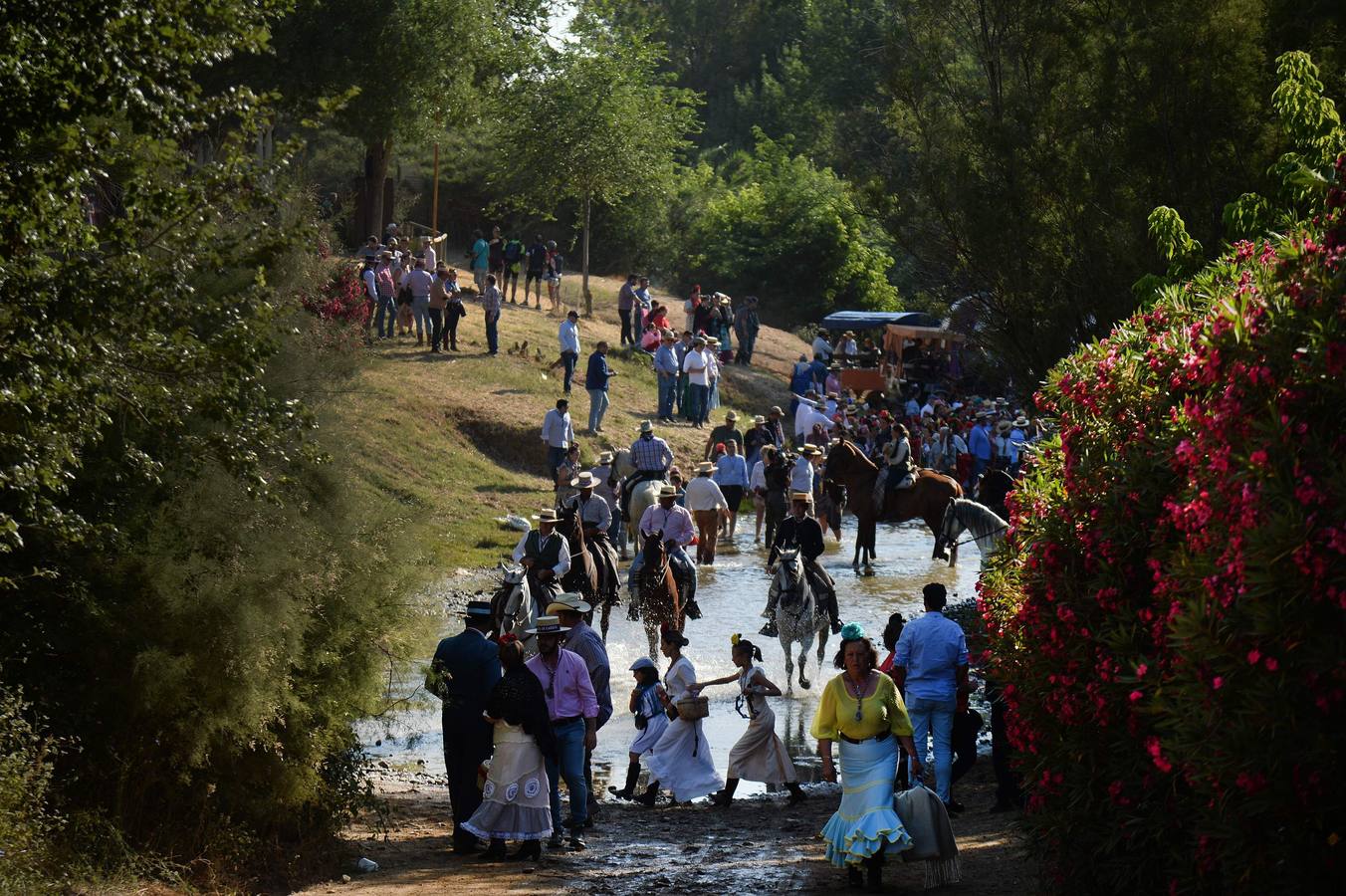 Cientos de personas participan en la romería de Pentecostés 2019, donde los peregrinos surcan los caminos hacia la aldea almonteña de El Rocío (Huelva) para honrar a la Virgen del Rocío.