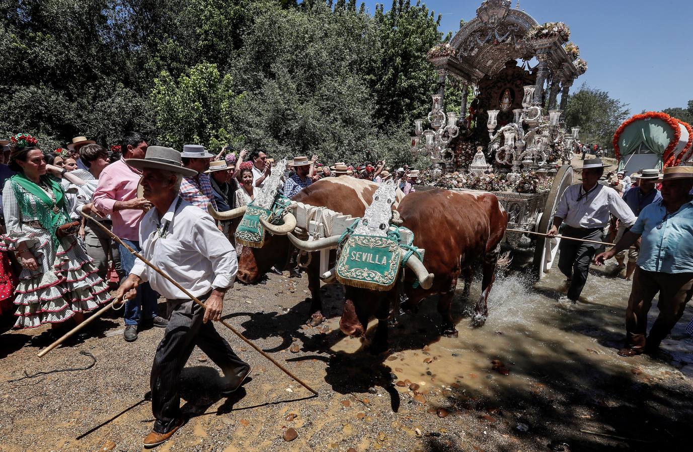 Cientos de personas participan en la romería de Pentecostés 2019, donde los peregrinos surcan los caminos hacia la aldea almonteña de El Rocío (Huelva) para honrar a la Virgen del Rocío.