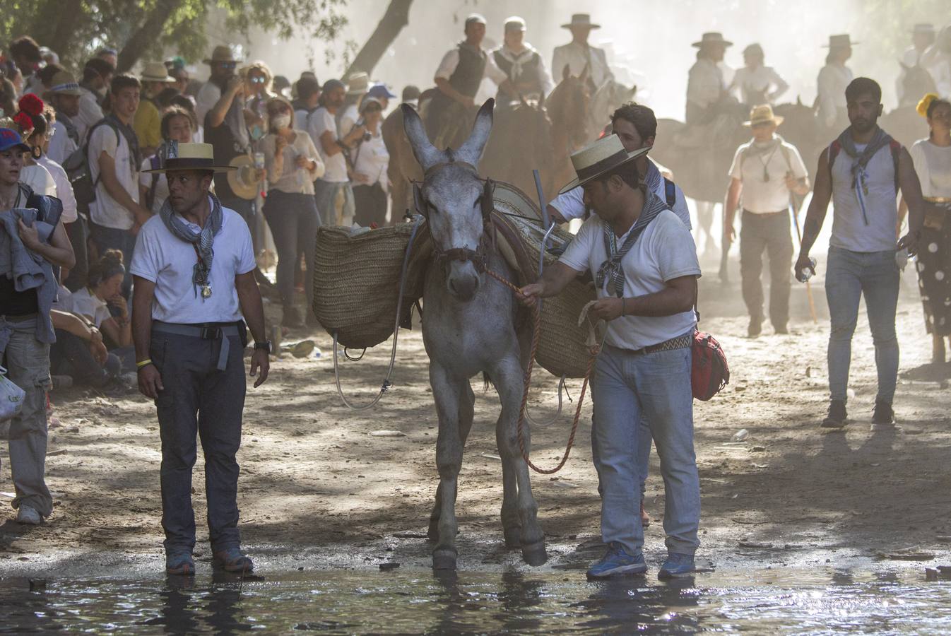 Cientos de personas participan en la romería de Pentecostés 2019, donde los peregrinos surcan los caminos hacia la aldea almonteña de El Rocío (Huelva) para honrar a la Virgen del Rocío.