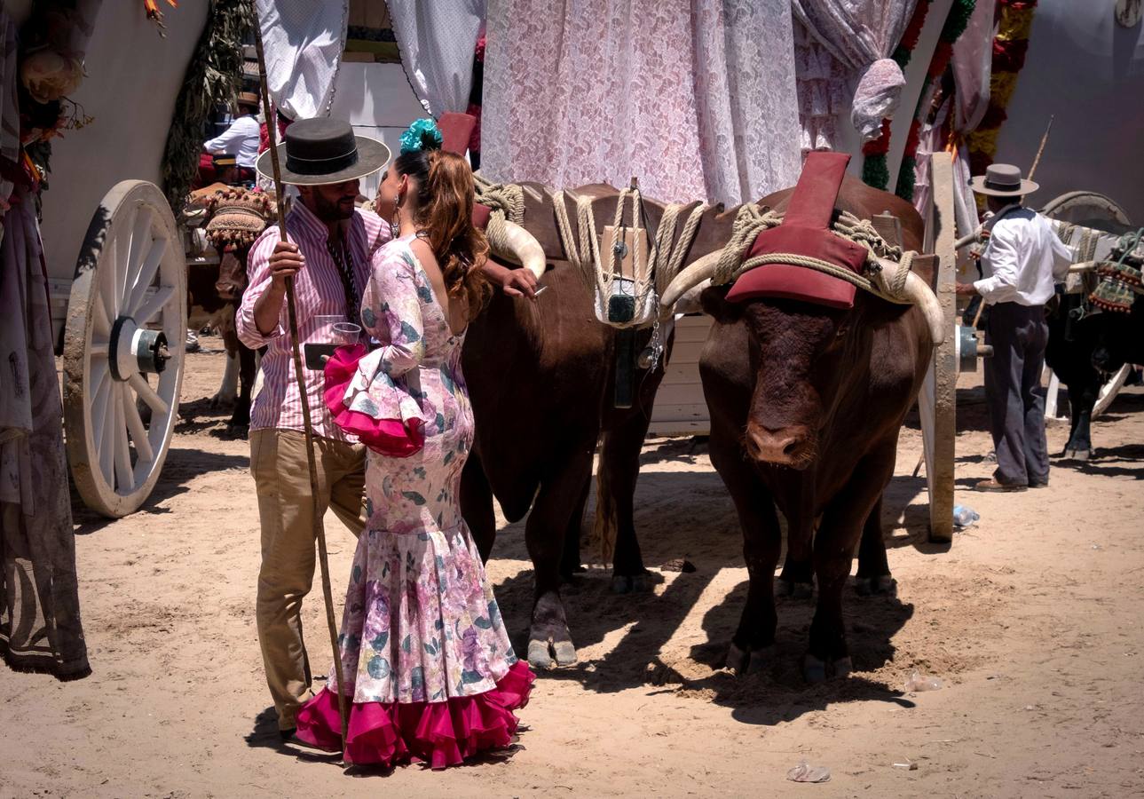 Cientos de personas participan en la romería de Pentecostés 2019, donde los peregrinos surcan los caminos hacia la aldea almonteña de El Rocío (Huelva) para honrar a la Virgen del Rocío.