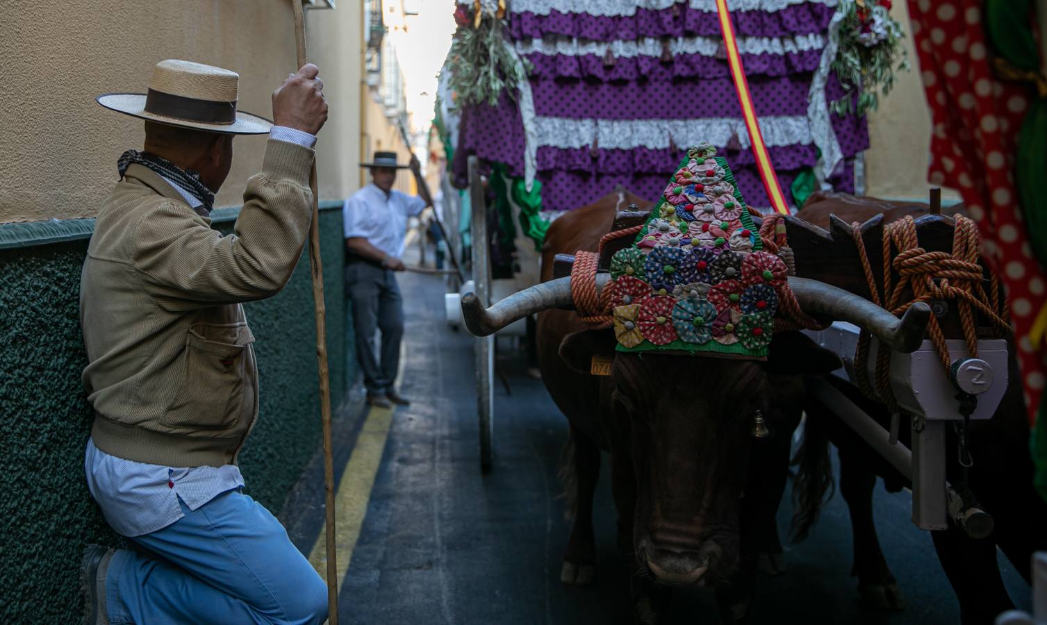 Cientos de personas participan en la romería de Pentecostés 2019, donde los peregrinos surcan los caminos hacia la aldea almonteña de El Rocío (Huelva) para honrar a la Virgen del Rocío.