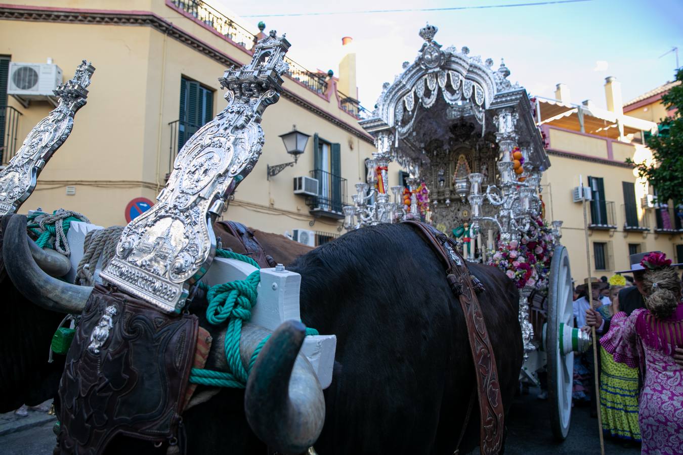 Cientos de personas participan en la romería de Pentecostés 2019, donde los peregrinos surcan los caminos hacia la aldea almonteña de El Rocío (Huelva) para honrar a la Virgen del Rocío.