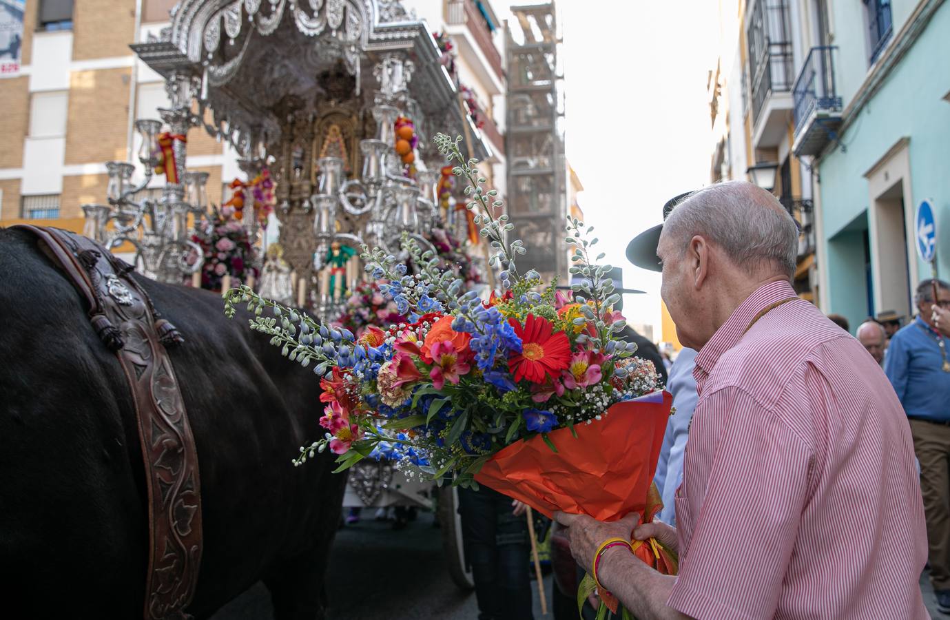 Cientos de personas participan en la romería de Pentecostés 2019, donde los peregrinos surcan los caminos hacia la aldea almonteña de El Rocío (Huelva) para honrar a la Virgen del Rocío.