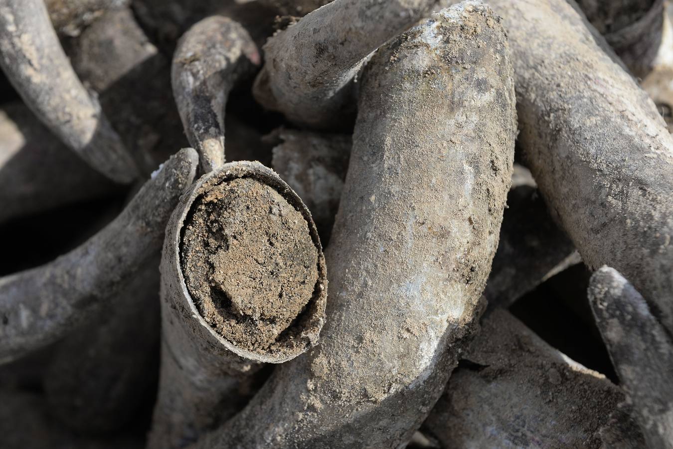 El compuesto, rico en microorganismos, se mezcla con agua y se reparte sobre el suelo 