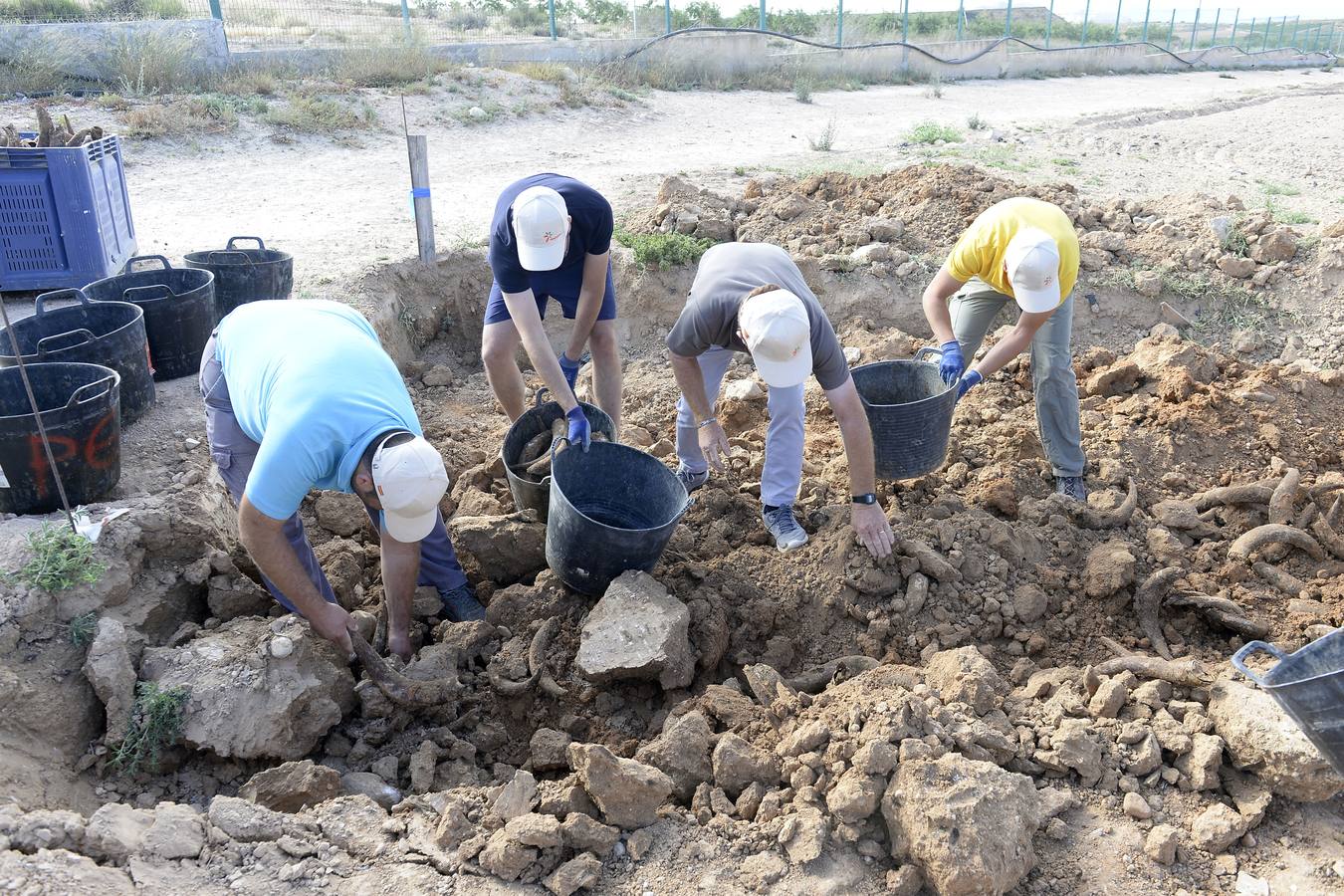 El compuesto, rico en microorganismos, se mezcla con agua y se reparte sobre el suelo 